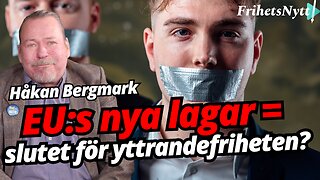 Hårdare straff än våldtäktsmän – för invandringskritik! - Håkan Bergmark