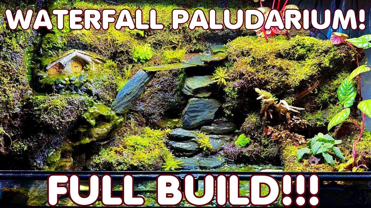 Waterfall Terrarium Build!