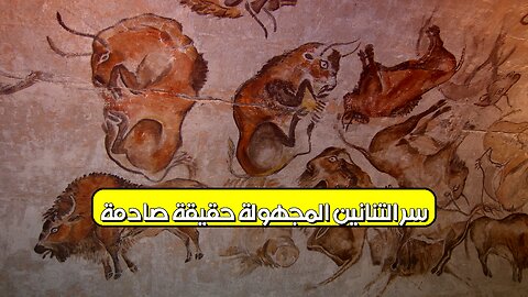 سر التنانين المجهولة: حقيقة صادمة! #أساطير #تنانين #تاريخ