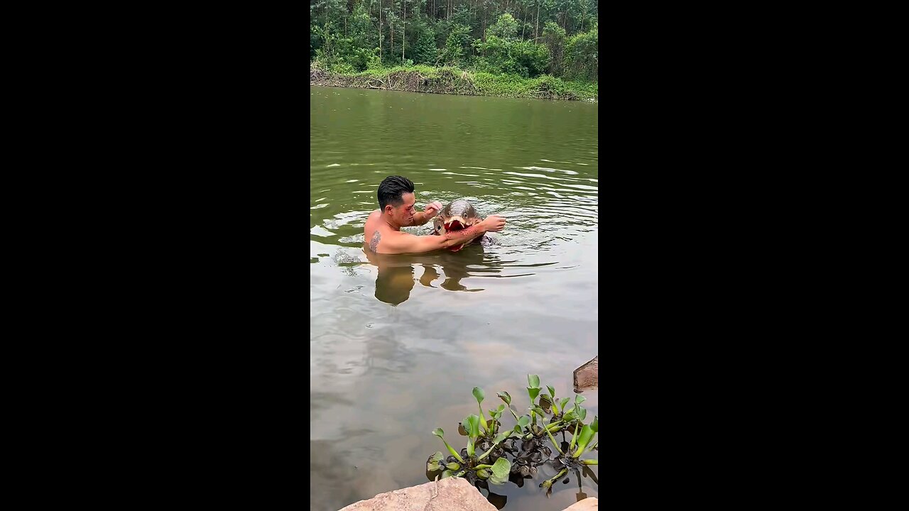 Mystery Snake Bites 😱