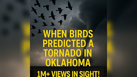 When Birds Predicted a Tornado in Oklahoma (Rumble Exclusive)