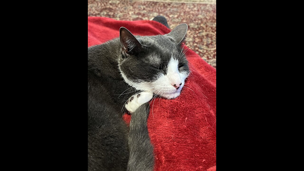 Episode 3021 CWSA 11/17/25