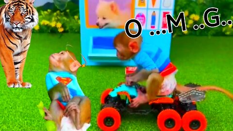 Bon bon monkey Kiki skating travel||animalht viral video ||monkey Kiki Animalht.