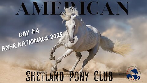 AMHR Nationals 2025 (Day #4) Ford Arena
