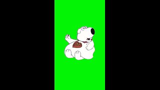 "I Love Chocolate" Brian Griffin | Green Screen #familyguy #familyguyclips #briangriffin #chocolate