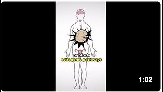 Don't Eat Canned Soup.