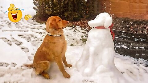 2025’s Funniest Dogs & Cats 😂 You Won’t Stop Laughing! | You Laugh You lose 😍😸😹 #Ep96