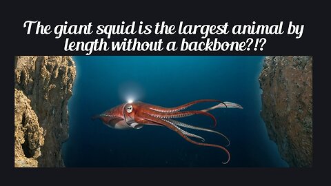 Fun Fact for May 26th 2025 Pt 1