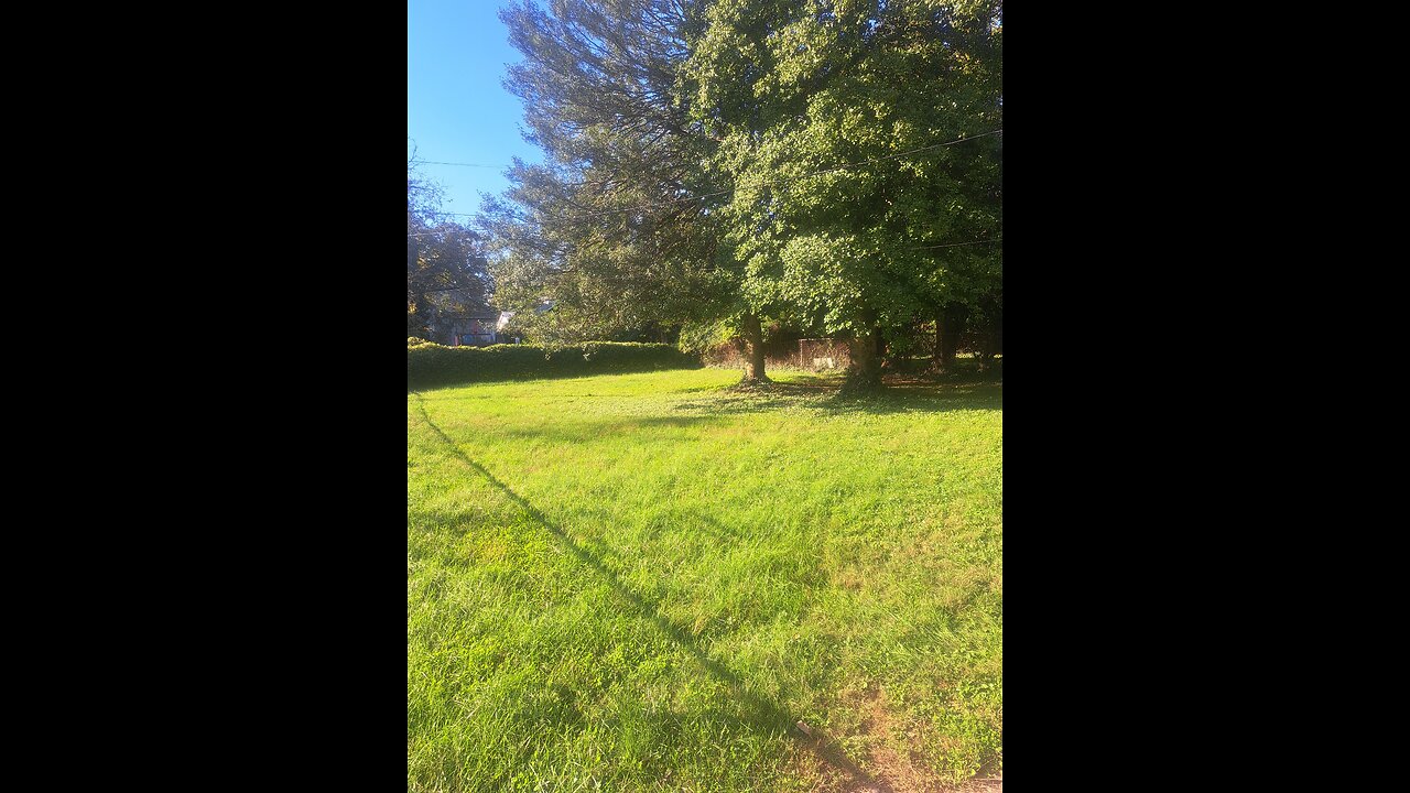 a beautiful day