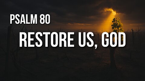 Psalm 80 – The Shepherd of Israel, the Vine of His People, and the Plea to Shine Again