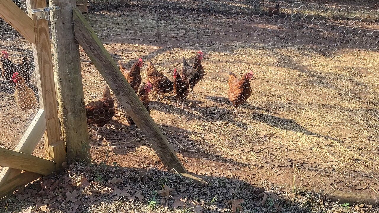 Preparing for the freeze, and an opportunity for a complete off grid system.