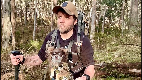 Yabby Hunting & Campfire Cooking in Victoria 🌿🐶 | Weekend Bush Adventure with My Chihuahua