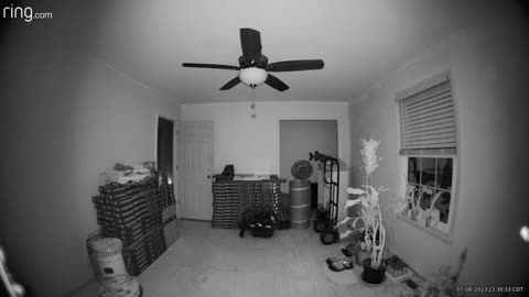 ''FUNNY CONVERSATION WITH SPIRITUAL ENTITIES!"