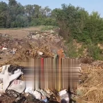 Russian Military Cemetery in Saratov Appears to Have Been Bulldozed