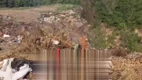 Russian Military Cemetery in Saratov Appears to Have Been Bulldozed