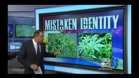 Old Lady in her Underwear Held at Gunpoint, Handcuffed & Thrown in the Back of a Police Car