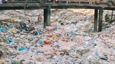 Most ordinary a trash river in Bangladesh
