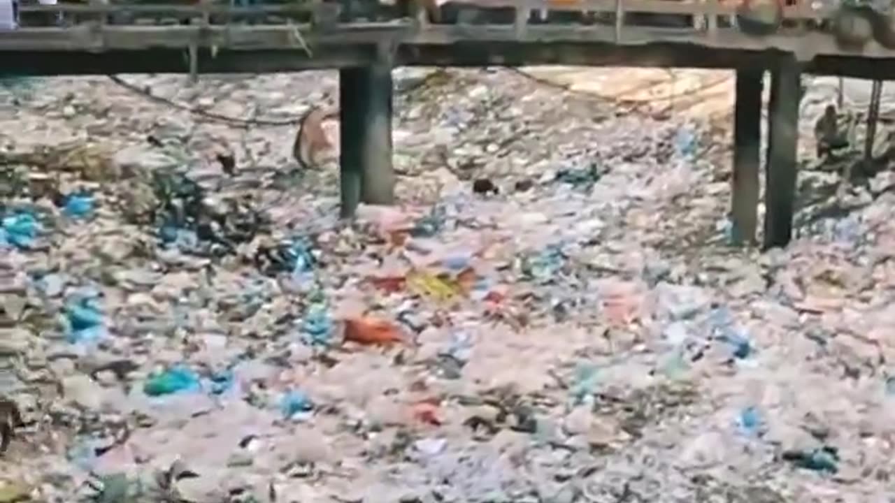 Most ordinary a trash river in Bangladesh