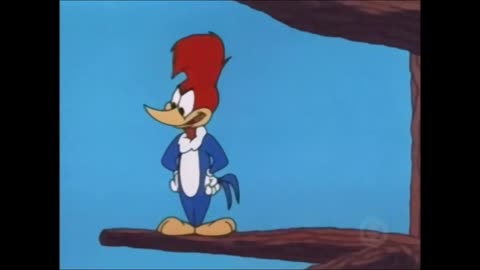 Woody Woodpecker and Friends - 1965x06 - Birds of a Feather