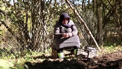 Azərbaycan Mətbəxi Sacda Qazan Kotleti, Country Life Vlog, Outdoor Cooking