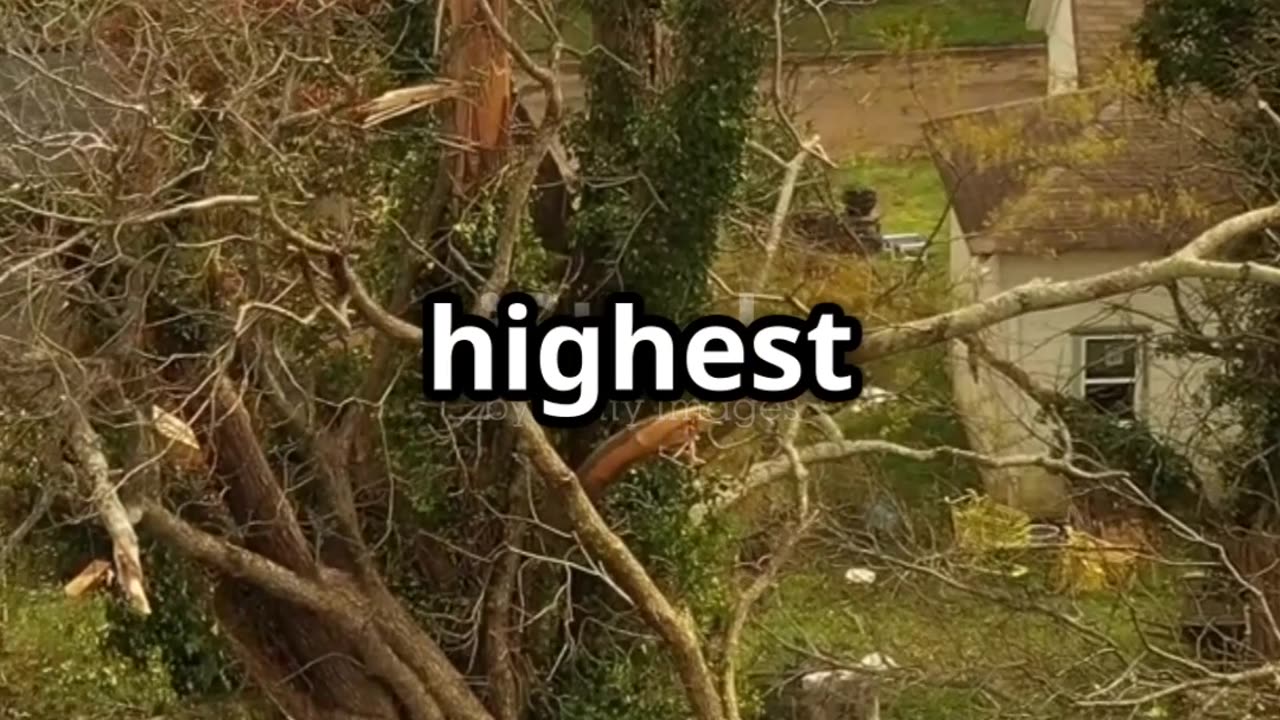 Severe Weather Chaos: Tornadoes, Floods, and Wildfires Wreak Havoc!