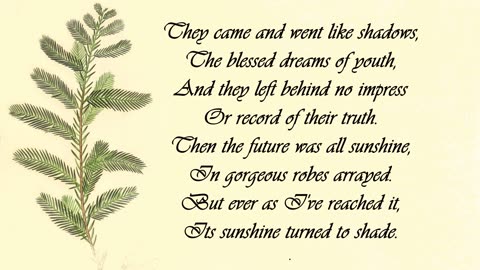 Cypress - The Language of Flowers