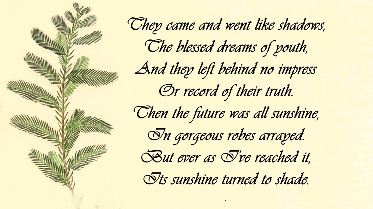 Cypress - The Language of Flowers