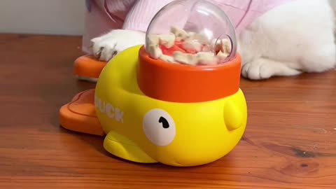 Little yellow duck! Launch it! Super cute #cattoy #leaktoy #cutepetgoodies