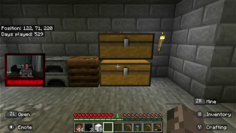 Time to build a Village in Minecraft! W/SilverDominator