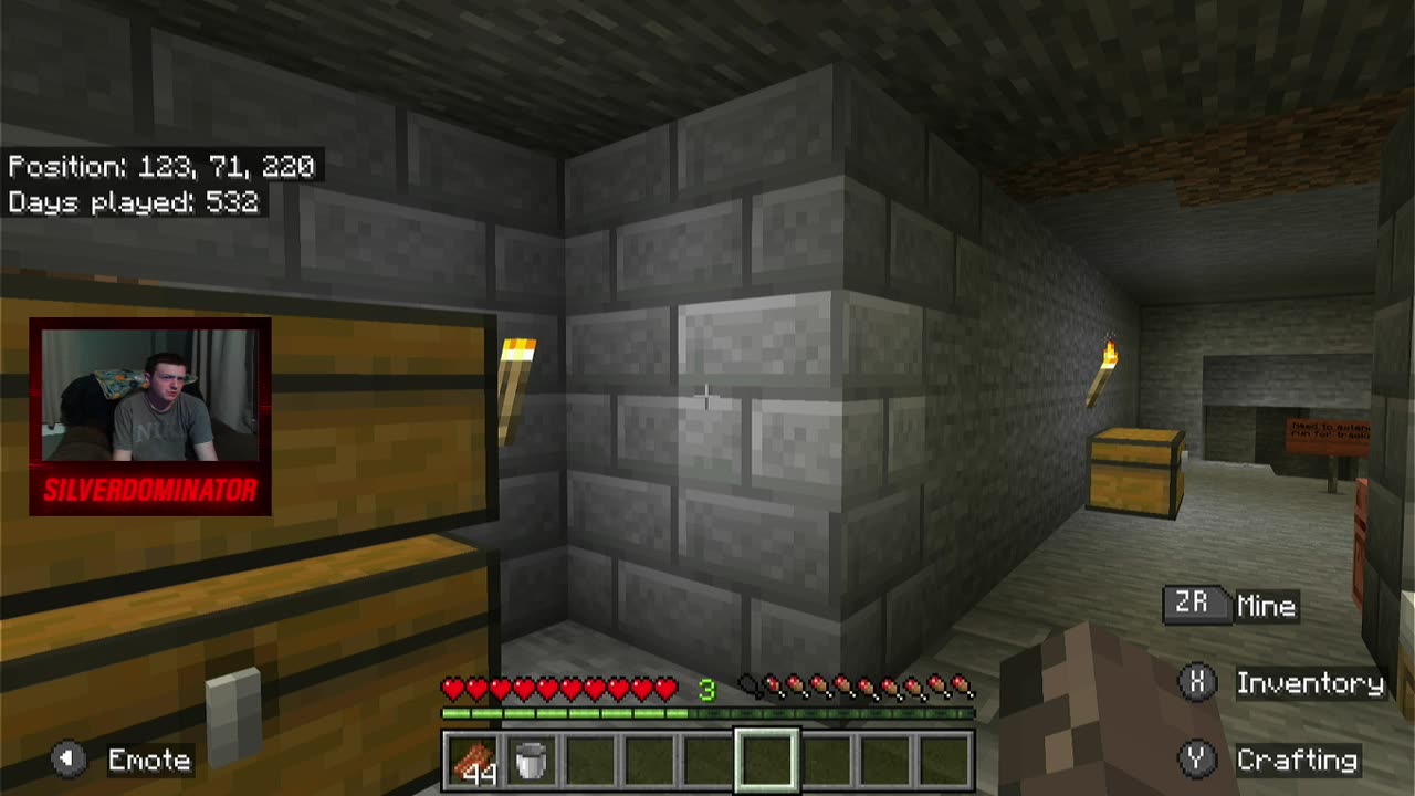 Time to build a Village in Minecraft! W/SilverDominator