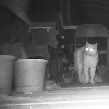 EA S151 - Finally Connecting Again