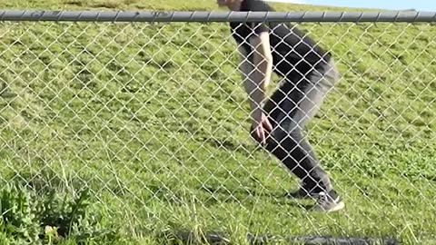 How Animals Get Over a Fence (With Emojis) 😂