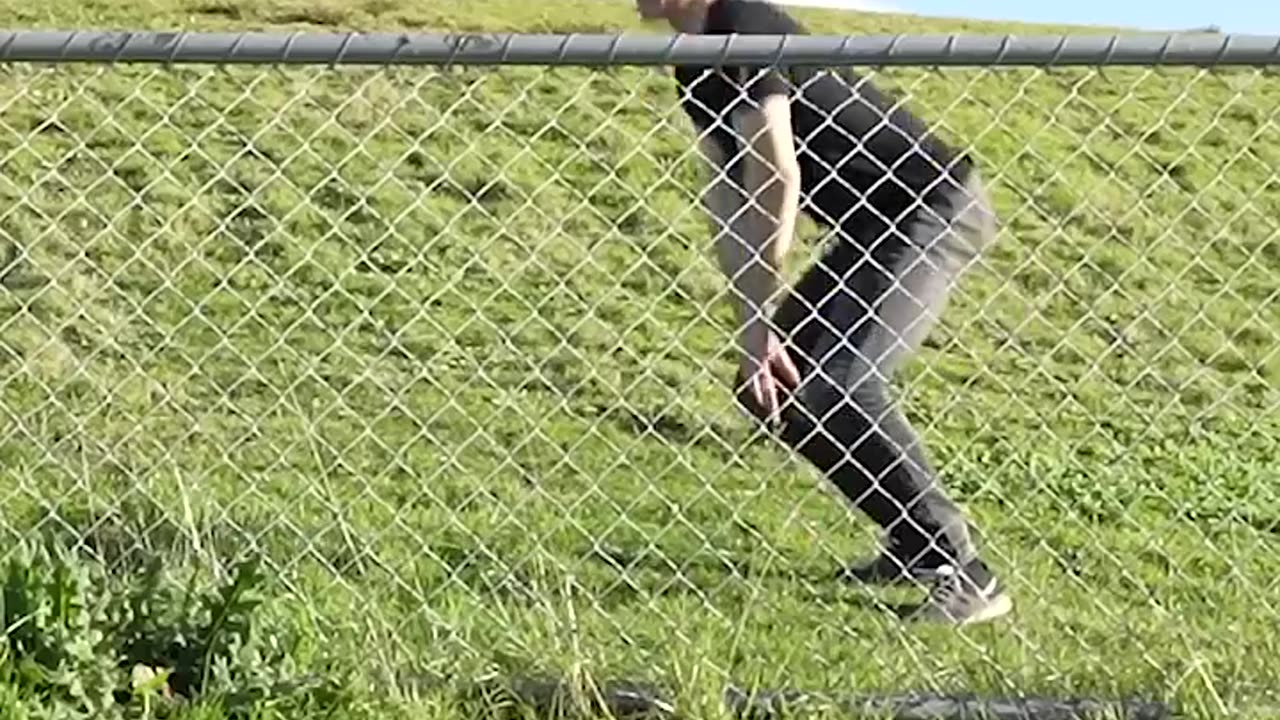 How Animals Get Over a Fence (With Emojis) 😂