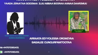 Qophii Addaa ONM-ABO November 11-2025