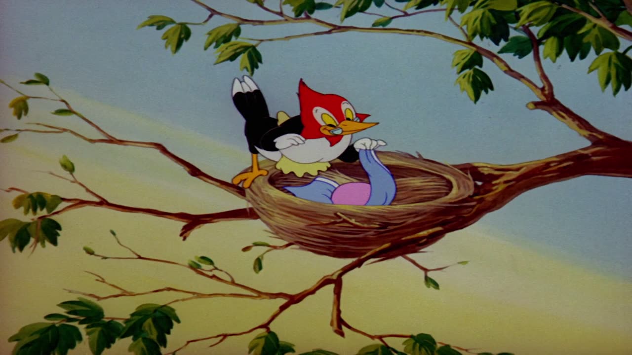 Tom and Jerry S1940E41 - Hatch Up Your Troubles (1080p AMZN WEB-DL x265 Ghost)