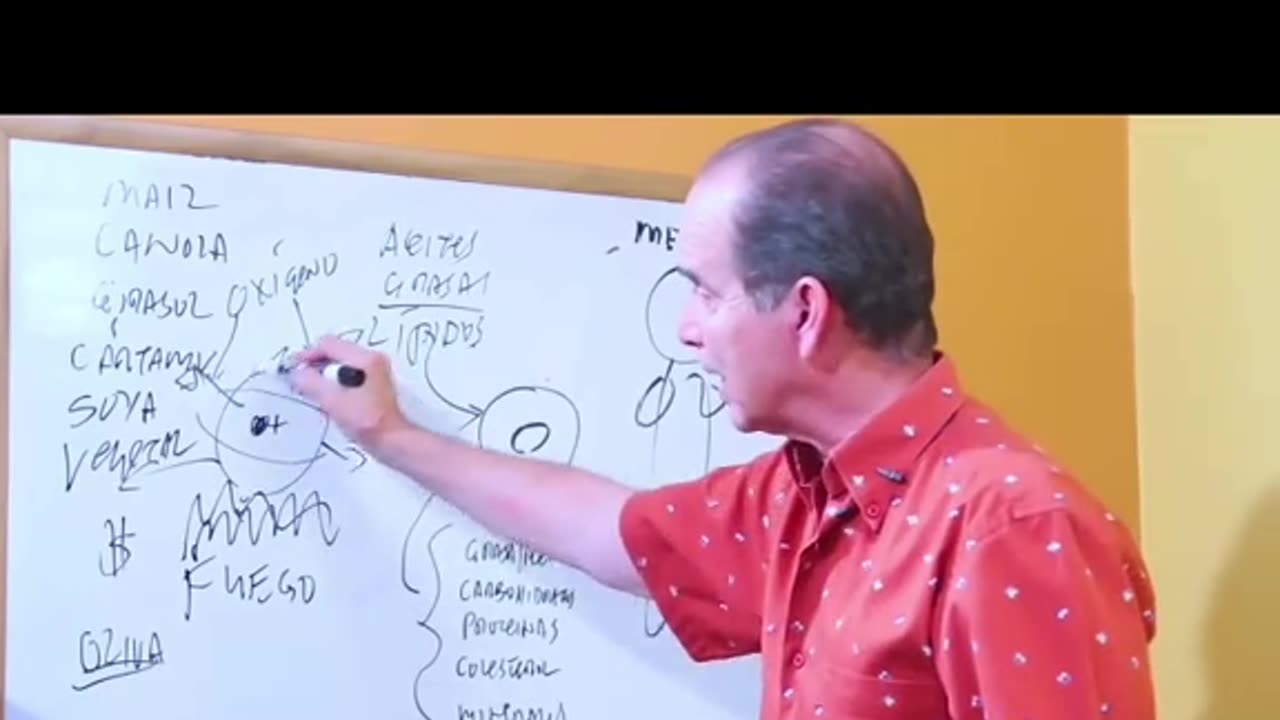 Aceites - Que aceites consumir - Dr Frank Suarez