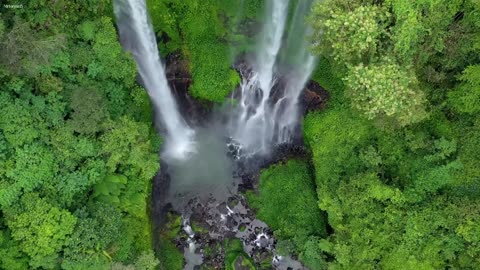 Healing Music for Stress Relief🌿 Calm Piano & Nature Sounds to Clear the Mind, Stop Overthinking