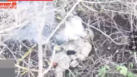 Ukraine war combat footage 11/9/25