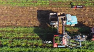 Meet Vaclav Smil The Wise Gardener of Food Security