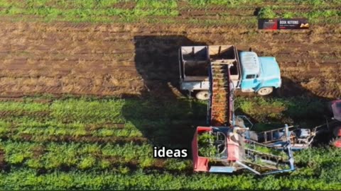 Meet Vaclav Smil The Wise Gardener of Food Security