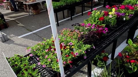 Easter Market at the South County Seasonal Farmers Market Farmers' Market! 4-19-25