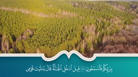 سور الرزق والبركة سورة يس - الرحمن - الواقعة - الملك بصوت الشيخ سعد الغامدي