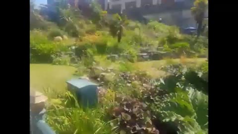 travelling Bournemouth in the summer with the beautiful seaside vibes and exploration of the beach