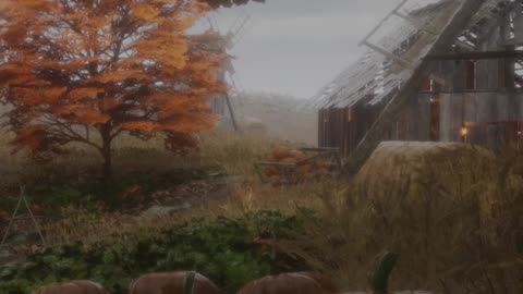 The Pumpkin Patch : #autumn #fallingleaves #raining #windmills #short #ASMR #ambience #ambient