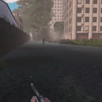 The Action In DayZ Is The BEST