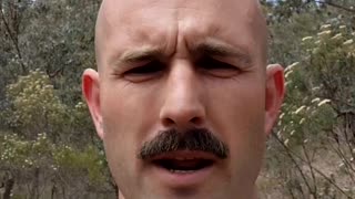 White man! Go outside now