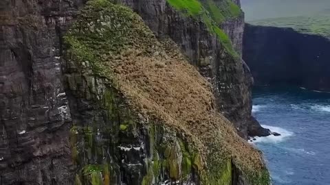 Sea 🌊 beautiful