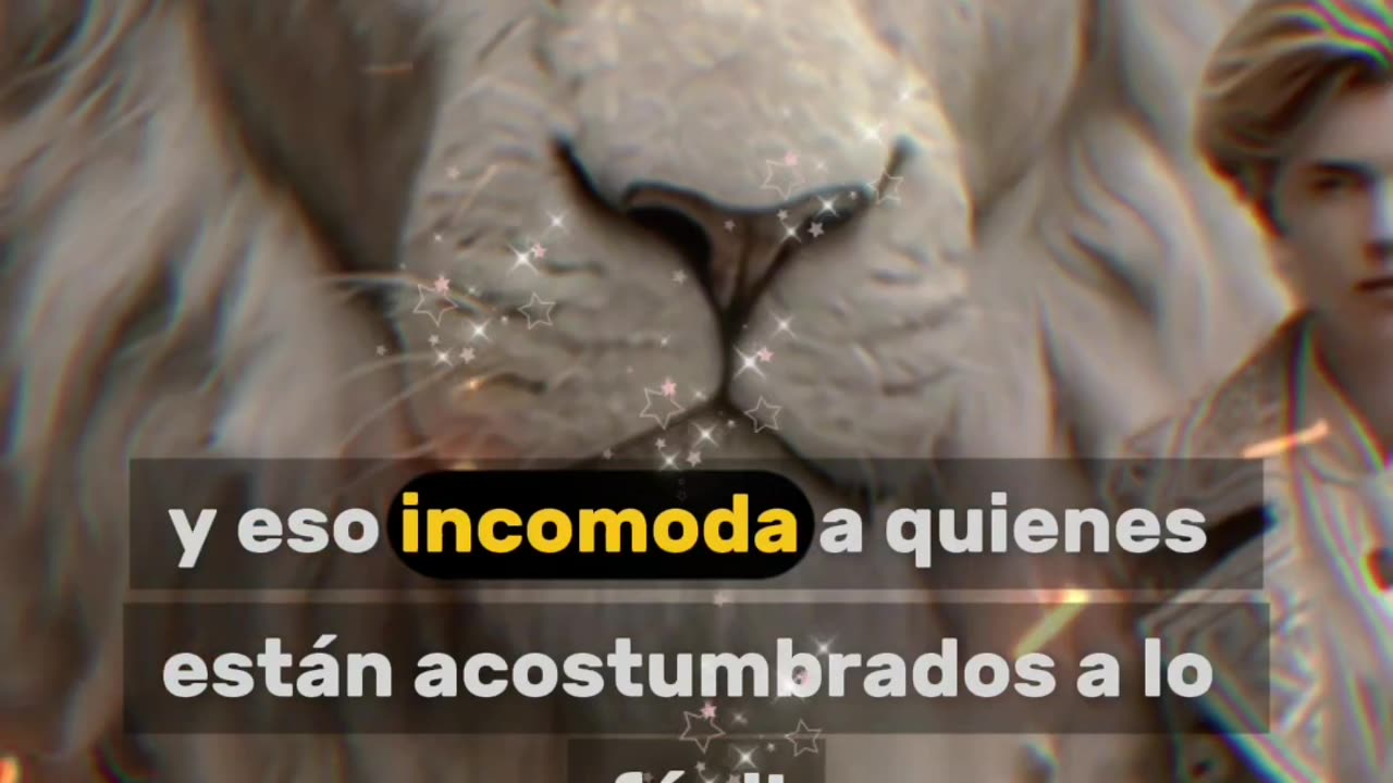 REFLEXIÓN 💫 🤍 💫 🤍 💫