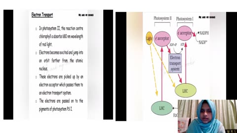 Plus Two Biology Chapter 11 Part 3