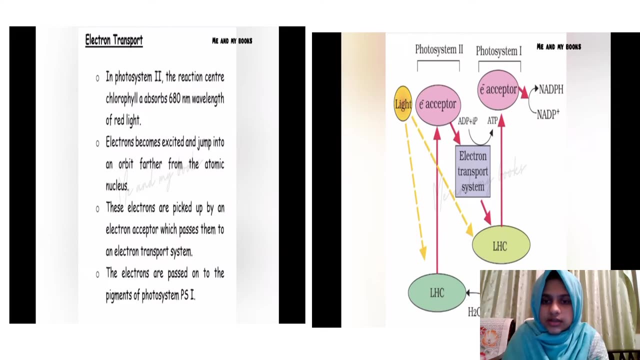 Plus Two Biology Chapter 11 Part 3